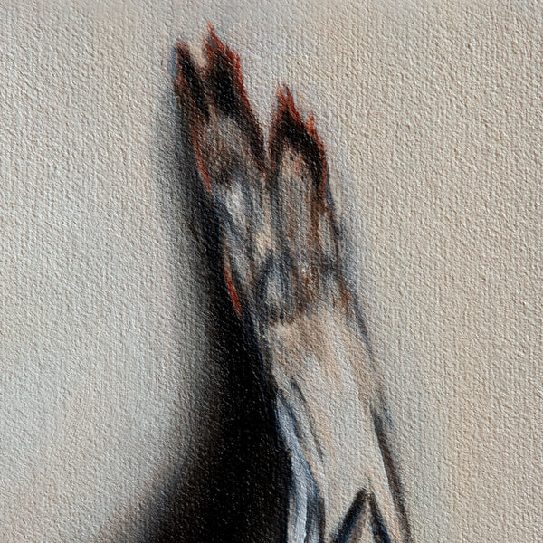 Ghosts Pt. 10